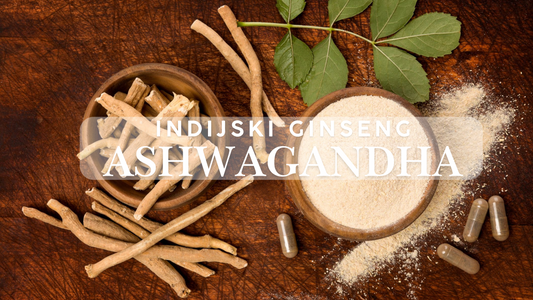 Ashwagandha – Moćna biljka za balans tijela i uma
