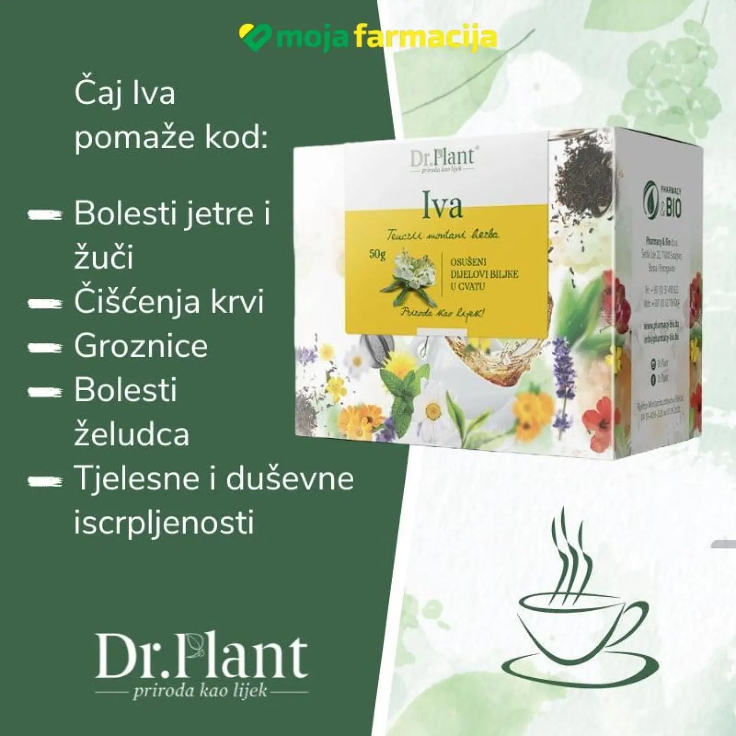 Slika proizvoda Dr.PLANT Čaj iva (Teucrii montani herba) iz online apoteke Moja Farmacija - BIH